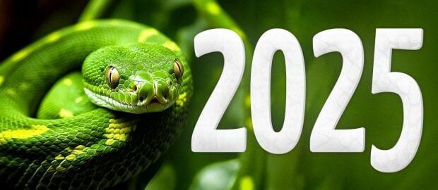 Zielony wąż Szczęśliwego Nowego 2025 Roku